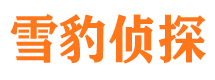 那曲市场调查